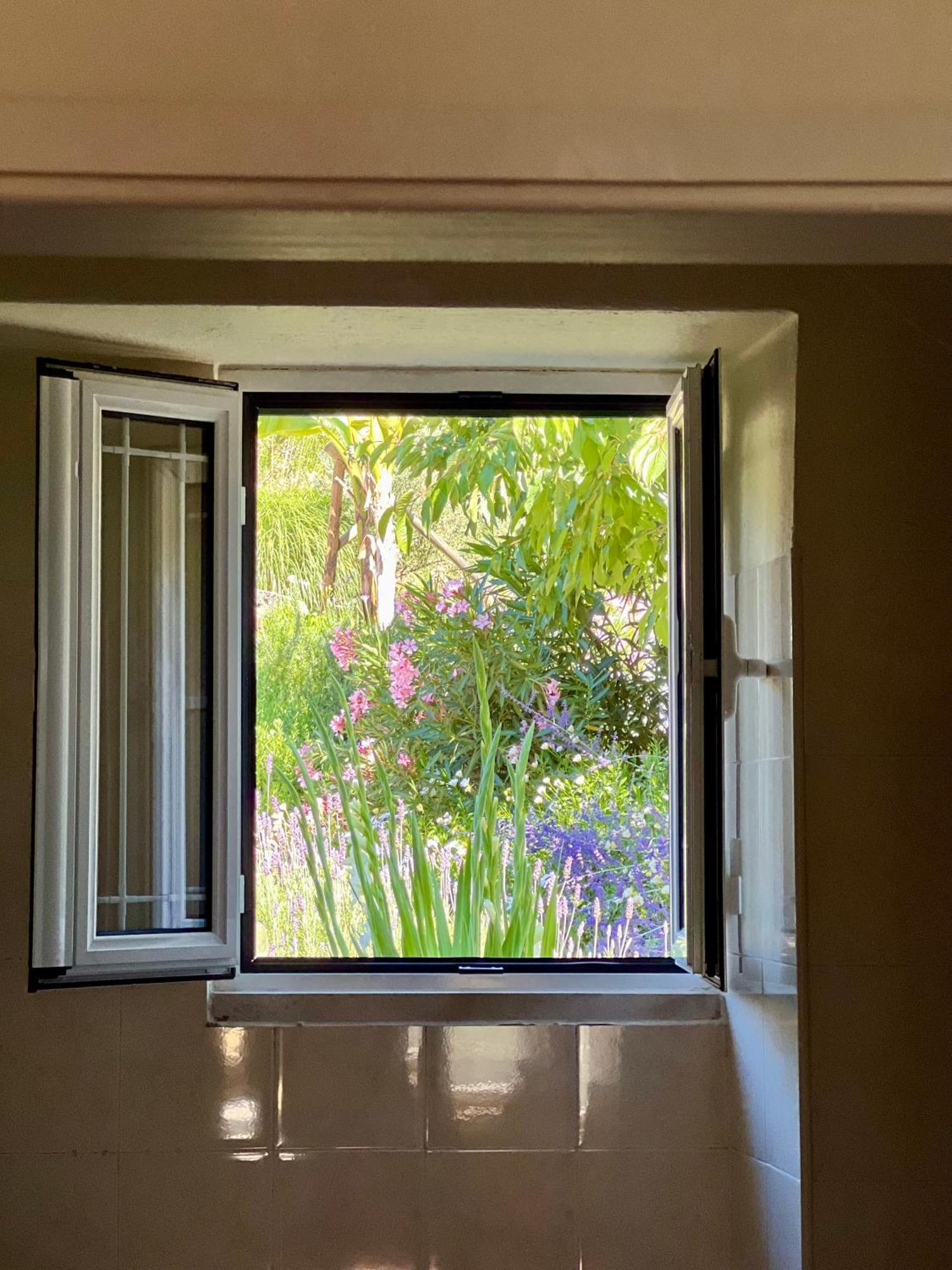 Villa Manor Meeder Castanheira de Pera Exterior foto